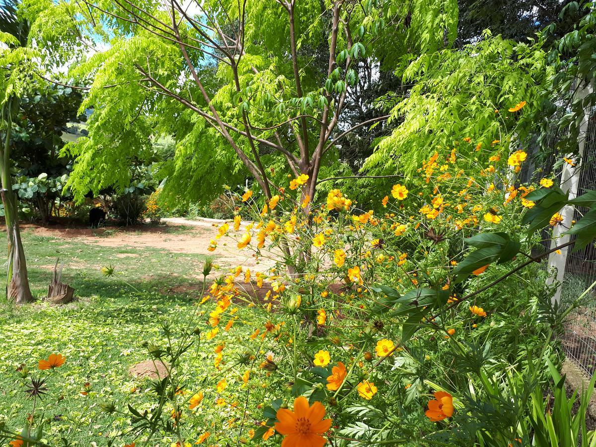 Chacara Leolud Villa โซกอร์โฮ ภายนอก รูปภาพ