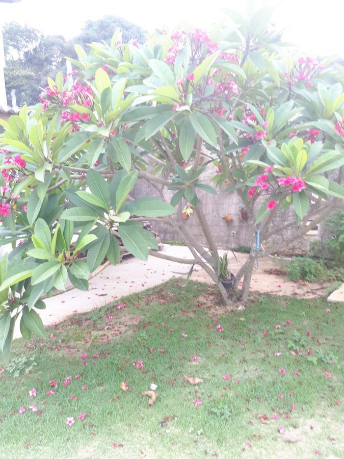 Chacara Leolud Villa โซกอร์โฮ ภายนอก รูปภาพ