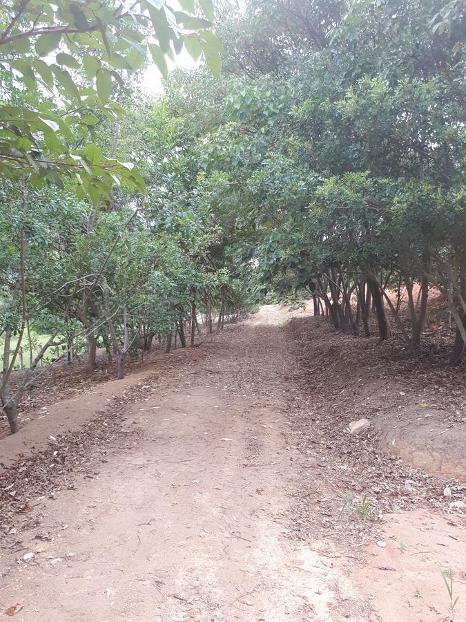 Chacara Leolud Villa โซกอร์โฮ ภายนอก รูปภาพ