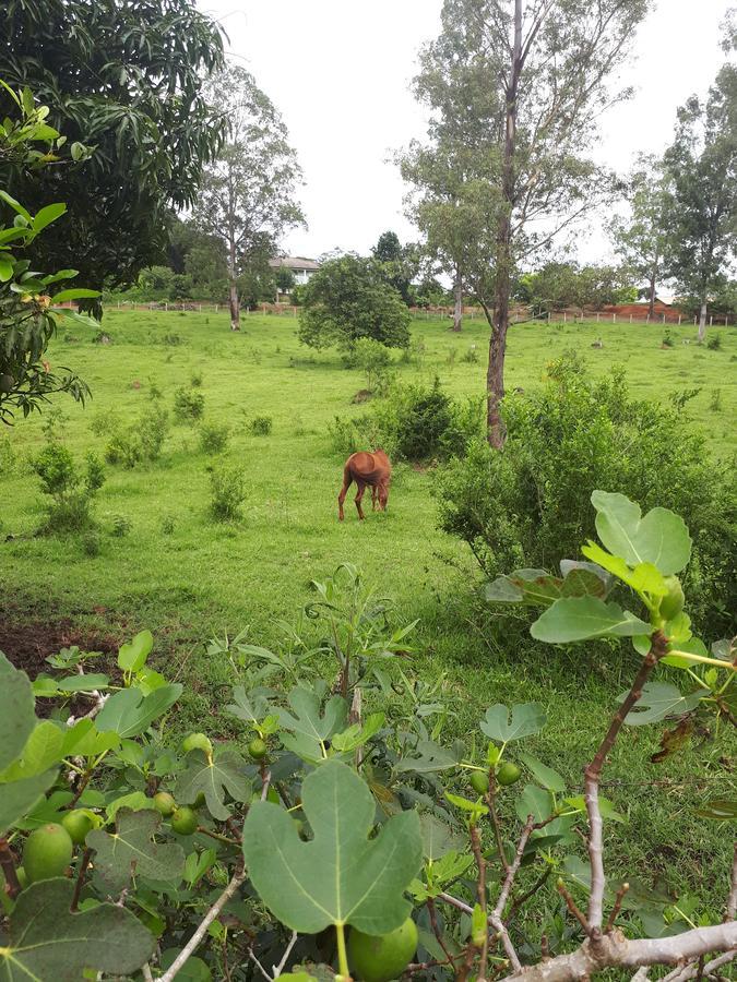 Chacara Leolud Villa โซกอร์โฮ ภายนอก รูปภาพ